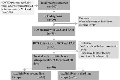 Salvage Therapy With Low-Dose Ruxolitinib Leads to a Significant Improvement in Bronchiolitis Obliterans Syndrome in Patients With cGVHD After Allogeneic Hematopoietic Stem Cell Transplantation